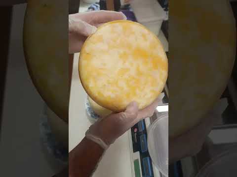 Видео: Наши твердые сыры