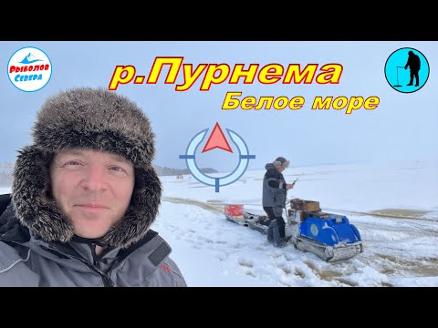 Видео: ✅ Пурнема. Белое море. Декабрь 2022 #рыболов_севера