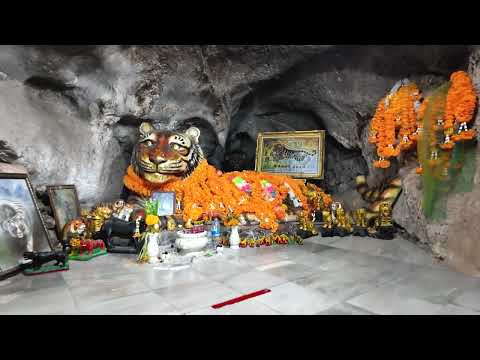 Видео: Горячие источники   Khlong Thom Hot Springs и Храм - Пещера Тигра. Тайланд 2025 год.