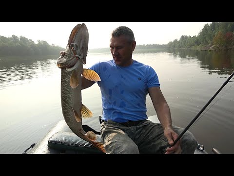 Видео: Ловля крупной щуки на спиннинг