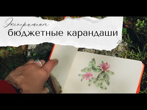 Видео: Бюджетные карандаши Koh-i-noor Mondeluz | Тест карандашей