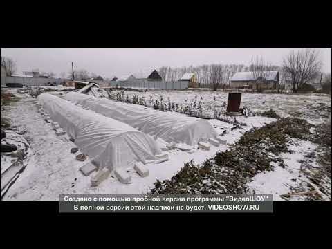 Видео: Укрытие роз и яблонь в Зап. Сибири с помощью стеклопластиковой арматуры. Осень 2021.