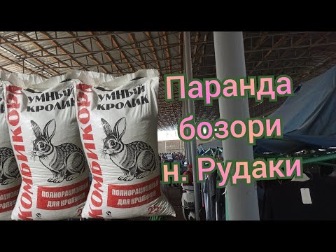 Видео: Паранда бозори н. Рудаки 03.08.2025 с...