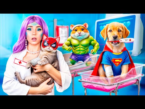 Видео: Больница для супергероев! Экстремальное спасение животных!