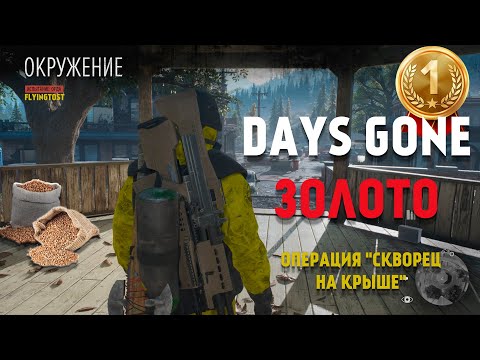 Видео: Days Gone на "ЗОЛОТО" по-русски с выдумкой | Испытания | Окружение