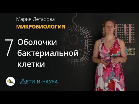 Видео: 7. Оболочки бактериальной клетки. Микробиология 10 - 11 класс