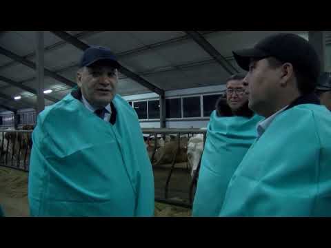 Видео: Советник Премьер-министра РК Ералы Тугжанов посетил Мамлютский район