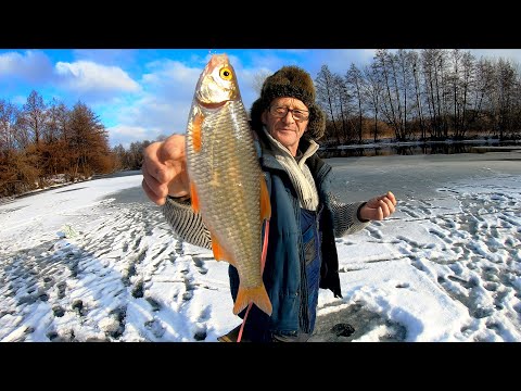 Видео: БРАКОНЬЕРЫ ТУПО ОТДЫХАЮТ... У ДЕДА СНОВА ГОРА РЫБЫ!!! РЫБАЛКА на ЖЕРЛИЦЫ и БАЛАНСИР
