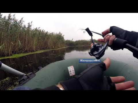 Видео: Здесь ЩУКА КЛЮЁТ на каждом забросе