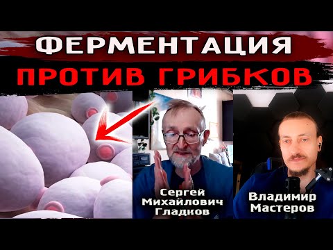 Видео: Ферментированная низкоуглеводная диета от Гладкова Сергея Михайловича. #грибок #кишечник #кето