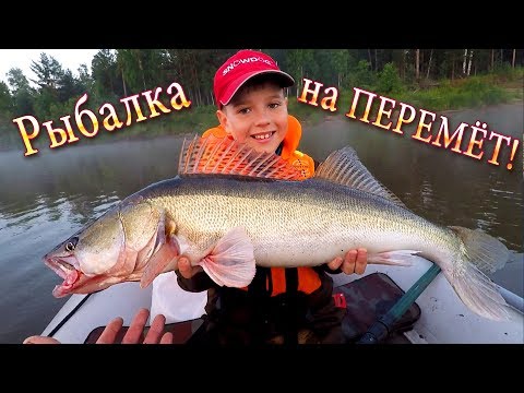 Видео: Как Поймать Крупный Трофей на Перемет! Выбор Места и Способ Постановки!!!