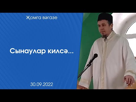 Видео: Сынаулар килсә...