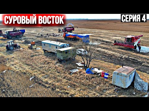 Видео: СУРОВЫЙ ВЫБОР! Вместо 3-х Полесье КУПИЛИ 1 LOVOL…