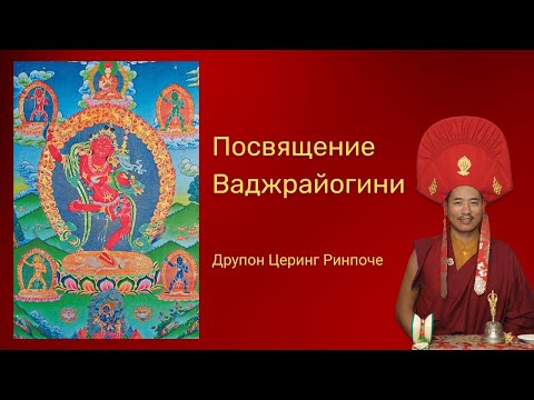 Видео: 1-0 Посвящение Ваджрайогини. Друпон Церинг Ринпоче. 04.01.2024
