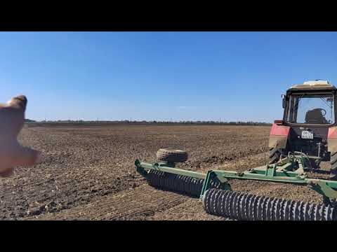 Видео: Предпосевное ПРИКАТЫВАНИЕ почвы.