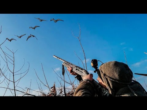 Видео: ОХОТА НА ГУСЯ 2024 скоро на канале!!! Самые захватывающие налеты прошлого сезона.