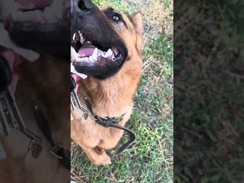 Видео: 28 августа 2023 г.