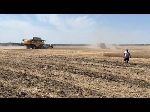 Видео: збір врожаю підходить до завершення,аж сумно.