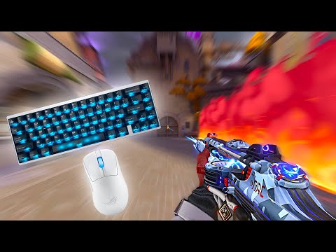 Видео: Мгновенная низкая чувствительность + 480 Гц