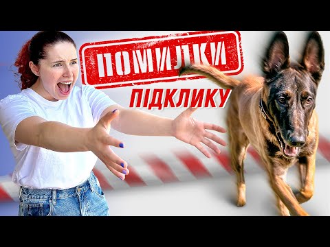 Видео: Чому Собака Тікає Від Вас? | 10 Причин та Помилок, Чому Команда 'До Мене' Не Працює від Кінолога