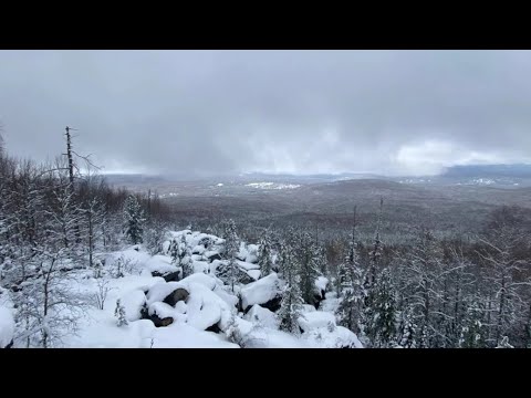 Видео: Телефон главы семьи Усольцевых снова появился в сети