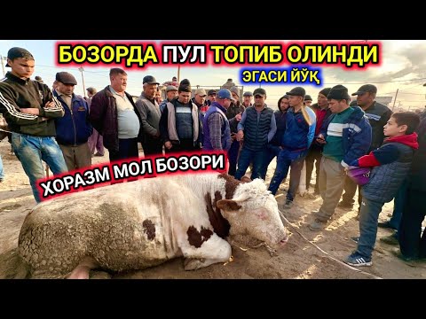 Видео: ХОРАЗМ МОЛ БОЗОРИДА ПУЛ ТОПИБ ОЛИНДИ ЭГАСИ ЙЎҚ 20-октября 2024 г.