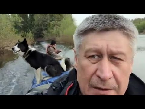 Видео: 180 км вверх по реке инспектора разграбили новую избу часть третья копчение  рыбы
