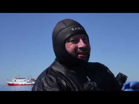 Видео: Голоса погибших кораблей. Транспорт "Выборг"