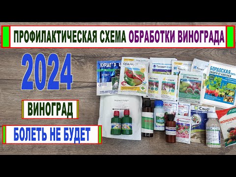 Видео: 🍇 Схема ОБРАБОТКИ ВИНОГРАДА от БОЛЕЗНЕЙ и вредителей на 2024 год. Как СПАСТИ ВИНОГРАД? Фото болезней