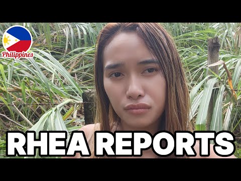 Видео: 1 день после тайфуна Тино