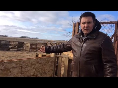 Видео: Канадский фермер  Неделя 10