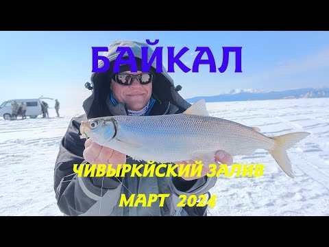 Видео: Рыбалка на Байкале. Чивыркуйский залив. Март 2024.