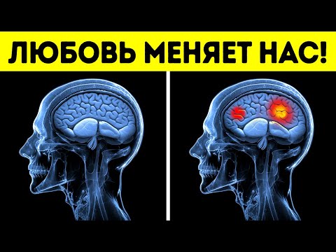 Видео: Гормон любви: что заставляет вас влюбляться