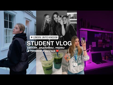 Видео: Дневник Студента VLOG 👩🏼‍🎓🇬🇧 сессия, дедлайны и нервы | тусовки и друзья