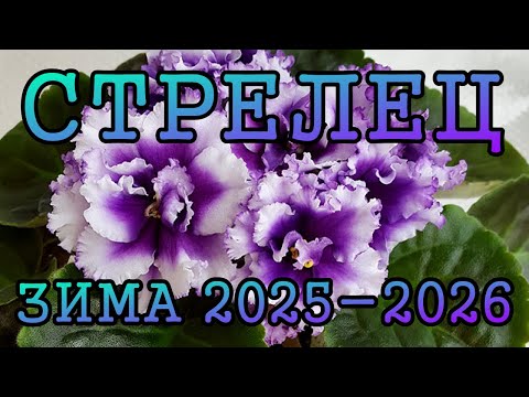 Видео: СТРЕЛЕЦ таро прогноз на ЗИМУ 2025 2026 года декабрь 2025, январь и февраль 2026