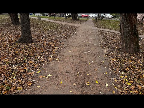 Видео: Выбираю досуг на выходной. Пришлось записаться к врачу. Работа из дома. Мешаем друг другу. 