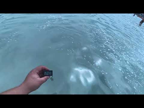 Видео: Дубай отель Oceanic Khorfakkan Resort & SPA 4*
