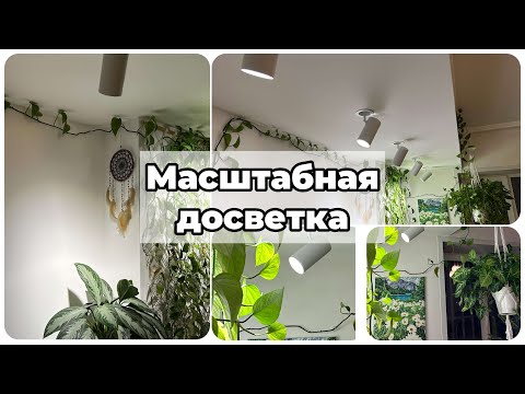 Видео: Растениям НЕ ХВАТАЕТ СВЕТА Зимой? Вот что их спасет!!!