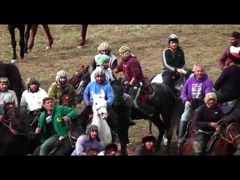 Видео: КИСМИ 5. БУЗКАШИИ Д. САРИЧАР #РЕКОМЕНДАЦИИ #врек