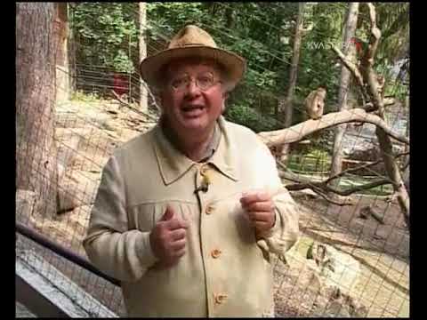 Видео: Тель-Авив Израиль Путешествия натуралиста