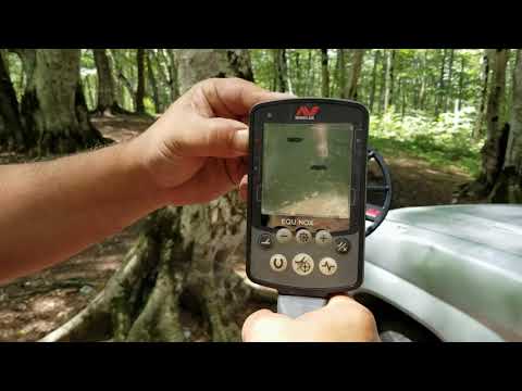 Видео: Minelab Equinox 600 vs 800, разные прошивки. (Часть 2).