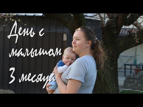 Видео: Наш день с малышом 3 месяца - распорядок дня новорожденного