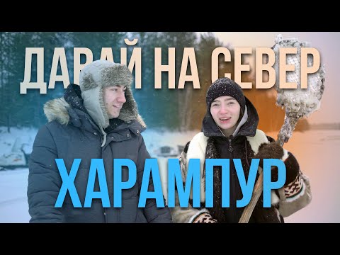 Видео: Давай на север. Харампур. Цикл программ посвящён путешествиям по поселениям Пуровского района
