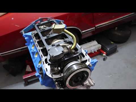 Видео: Но в интернете пишут, что гладить 289 нельзя!