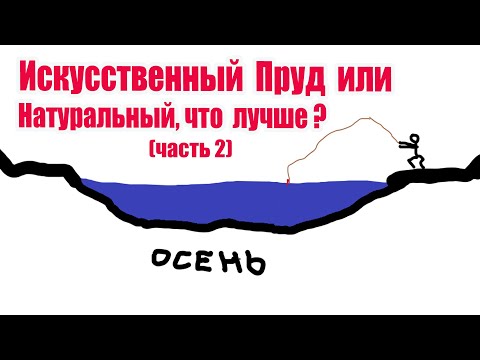 Видео: Искусственный пруд или натуральный, что лучше ? (часть2)