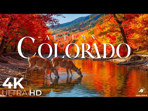 Видео: Осень в Колорадо 4K 🍁 Живописные дороги, осины и осенние краски Скалистых гор