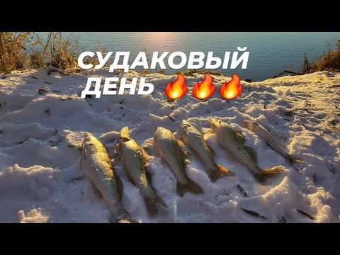 Видео: СУДАКОВЫЙ ДЕНЬ!!!🔥🔥🔥 ОСЕННЯЯ РЫБАЛКА НА ИРТЫШЕ. 