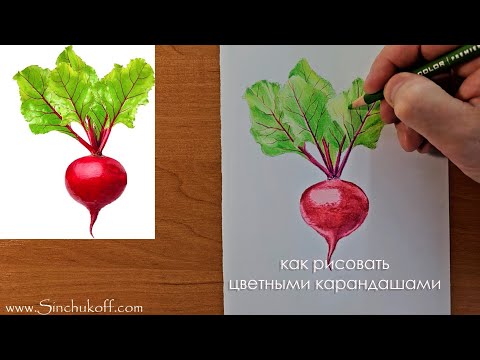 Видео: как рисовать цветными карандашами и блендерами