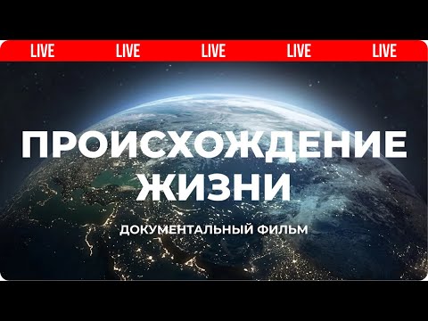 Видео: Происхождение. Как появилась жизнь на планете Земля? | Мифы эволюции 🔴 Live