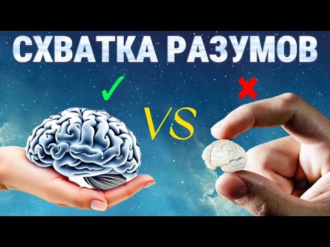 Видео: Битва разумов, полов и поколений [Женская извилина]